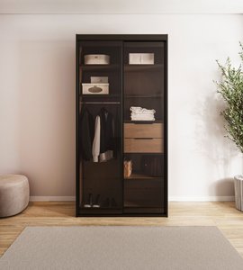 ארון הזזה שקוף 2 דלתות מזכוכית מושחרת דגם GLASS-100 ארון הזזה שקוף 2 דלתות מזכוכית מושחרת דגם GLASS-100